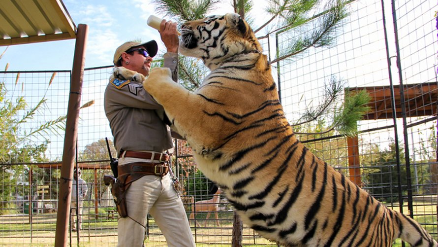 Nicolas Cage jouera Joe Exotic de Tiger King dans une nouvelle série télé