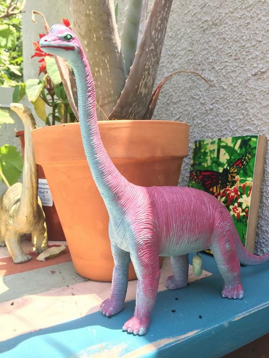 Des gens partagent les pires photos d’animaux sauvages et ces 23 clichés sont si pourris qu’ils sont drôles