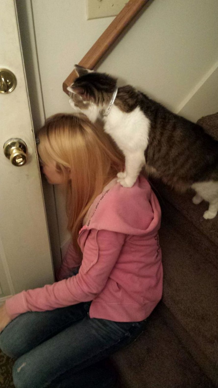 Ces photos de chats sympas vont vous réchauffer le coeur