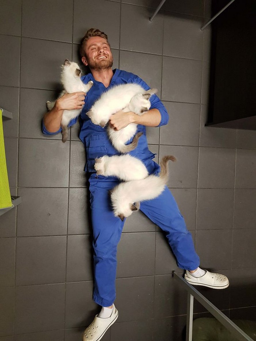 Ces photos de chats sympas vont vous réchauffer le coeur