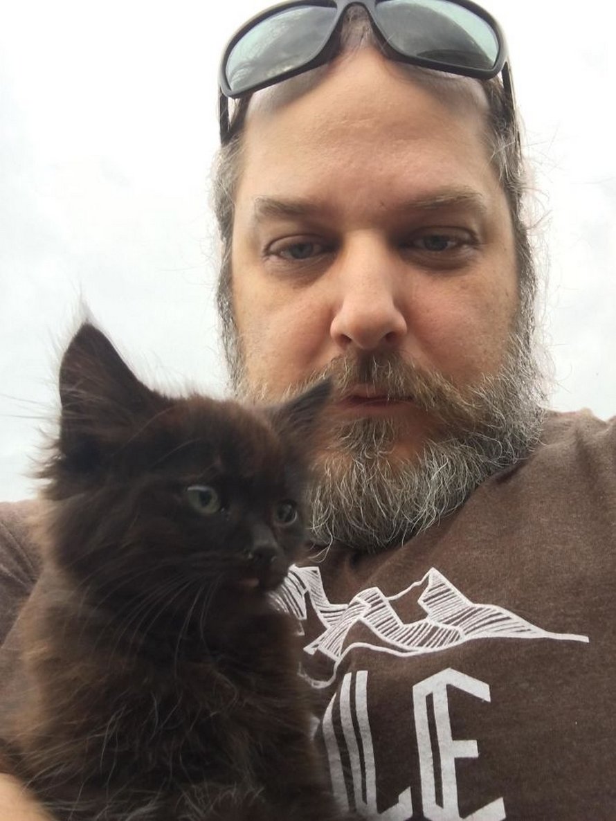 Ces photos de chats sympas vont vous réchauffer le coeur