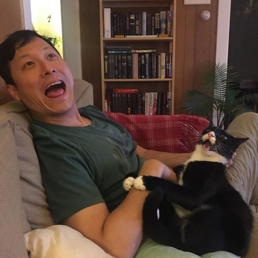 Ces photos de chats sympas vont vous réchauffer le coeur