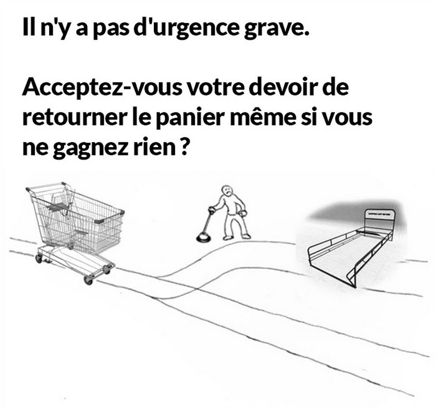 Quelqu’un a publié ce test avec un panier d’épicerie qui indique si tu es une bonne ou une mauvaise personne et il est assez juste
