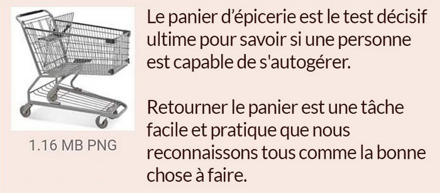 Quelqu’un a publié ce test avec un panier d’épicerie qui indique si tu es une bonne ou une mauvaise personne et il est assez juste