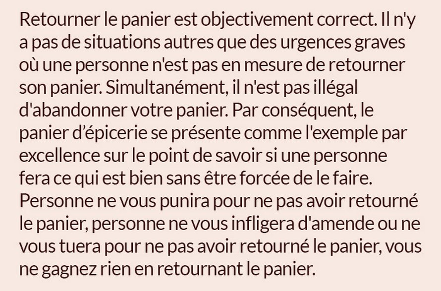 Quelqu’un a publié ce test avec un panier d’épicerie qui indique si tu es une bonne ou une mauvaise personne et il est assez juste