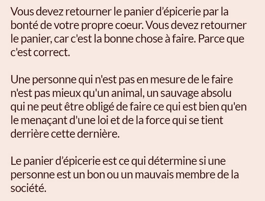 Quelqu’un a publié ce test avec un panier d’épicerie qui indique si tu es une bonne ou une mauvaise personne et il est assez juste