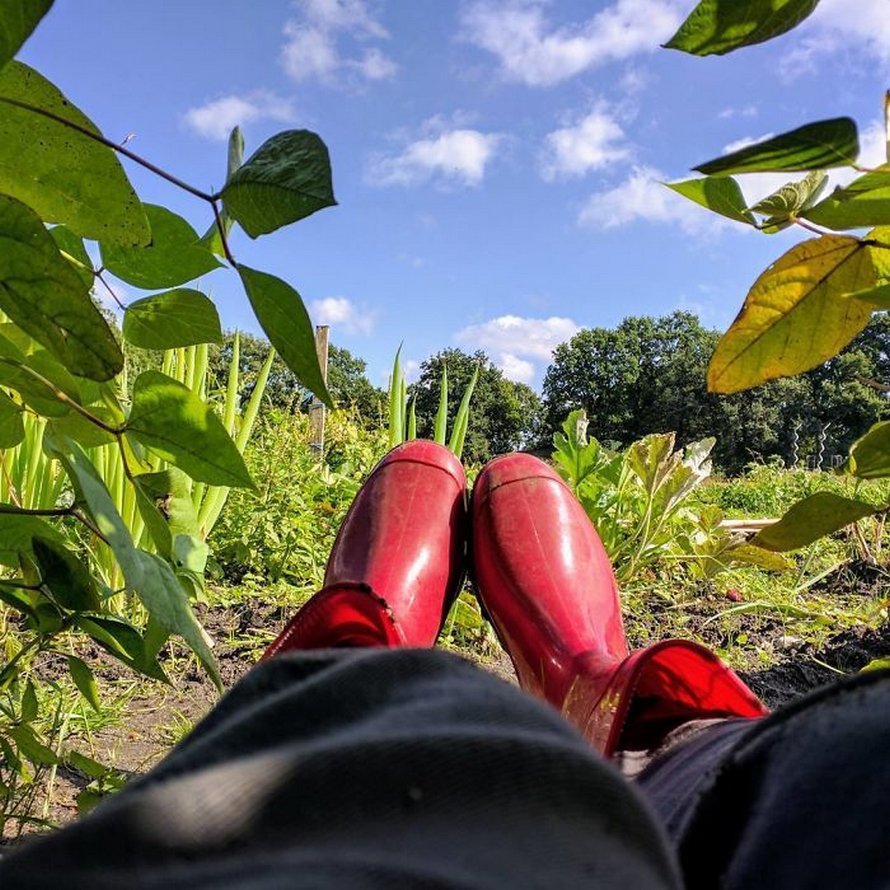Des gens créent des tentes de jardin magiques avec des haricots pour leurs enfants et voici les 15 plus belles créations