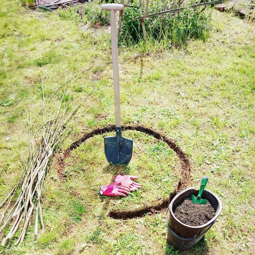 Des gens créent des tentes de jardin magiques avec des haricots pour leurs enfants et voici les 15 plus belles créations