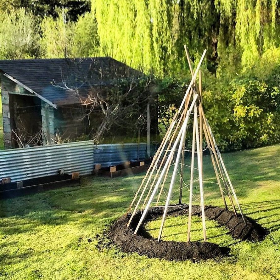 Des gens créent des tentes de jardin magiques avec des haricots pour leurs enfants et voici les 15 plus belles créations