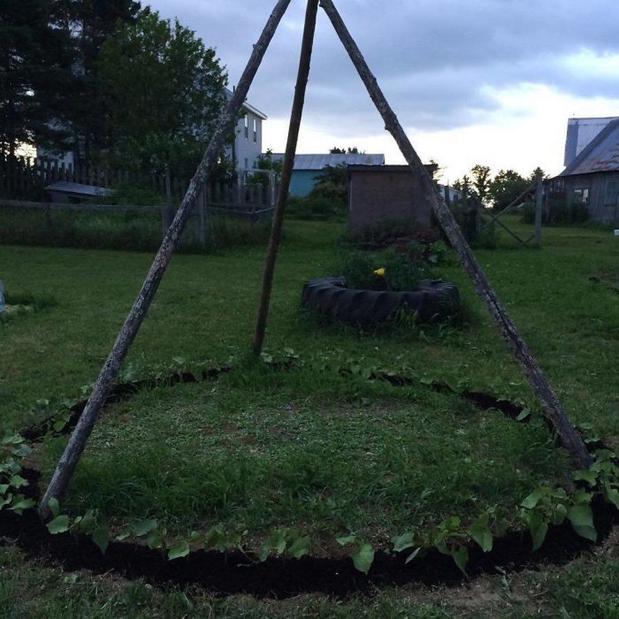 Des gens créent des tentes de jardin magiques avec des haricots pour leurs enfants et voici les 15 plus belles créations