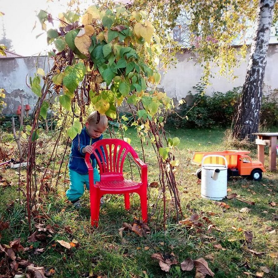 Des gens créent des tentes de jardin magiques avec des haricots pour leurs enfants et voici les 15 plus belles créations