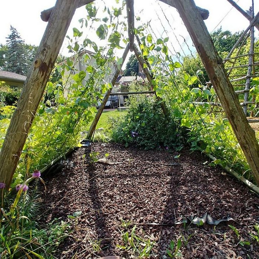 Des gens créent des tentes de jardin magiques avec des haricots pour leurs enfants et voici les 15 plus belles créations