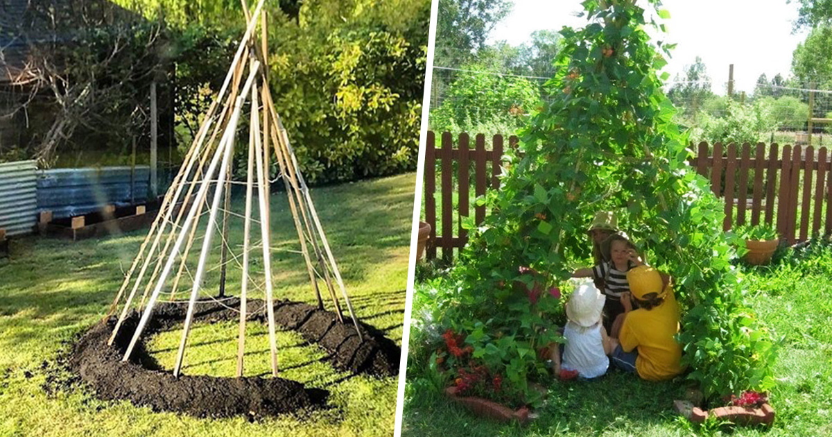 Des gens créent des tentes de jardin magiques avec des haricots pour leurs enfants et voici les 15 plus belles créations
