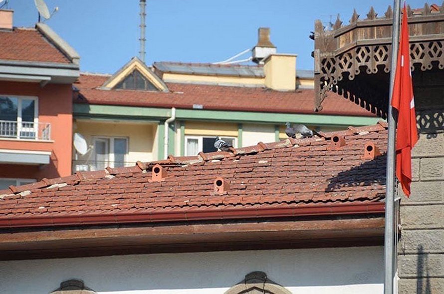 Ces tuiles à usages multiples fournissent également une maison aux oiseaux