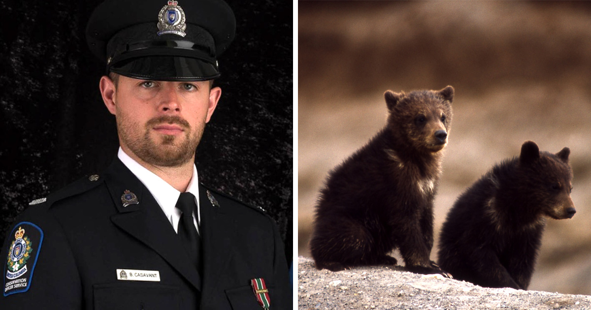 Un agent de conservation licencié pour avoir refusé de tuer des oursons remporte une bataille juridique pour blanchir son nom