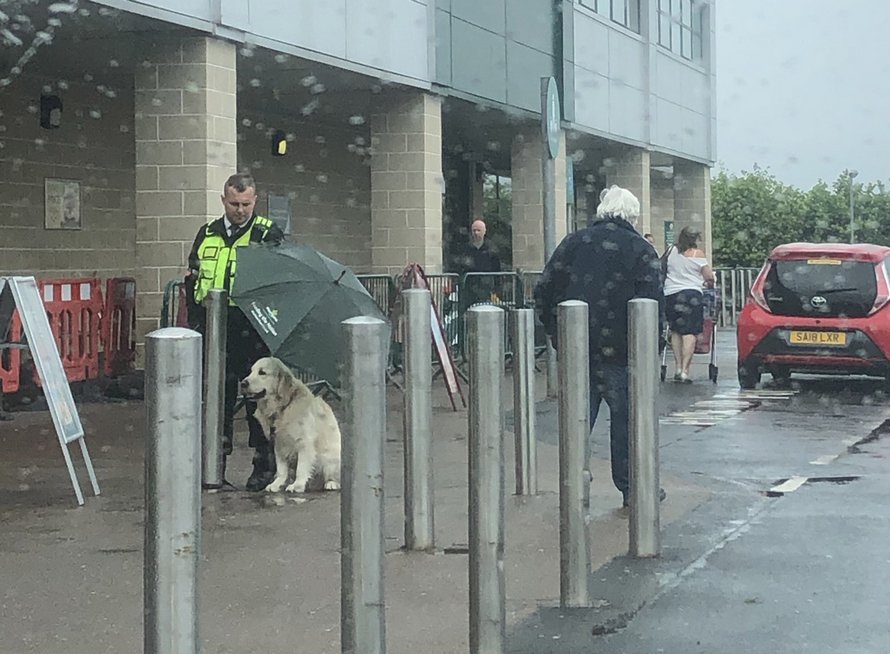 https://www.ipnoze.com/wordpress/wp-content/uploads/2020/06/agent-securite-protege-chien-pluie-parapluie-ethan-dearman-morrisons-002.jpg