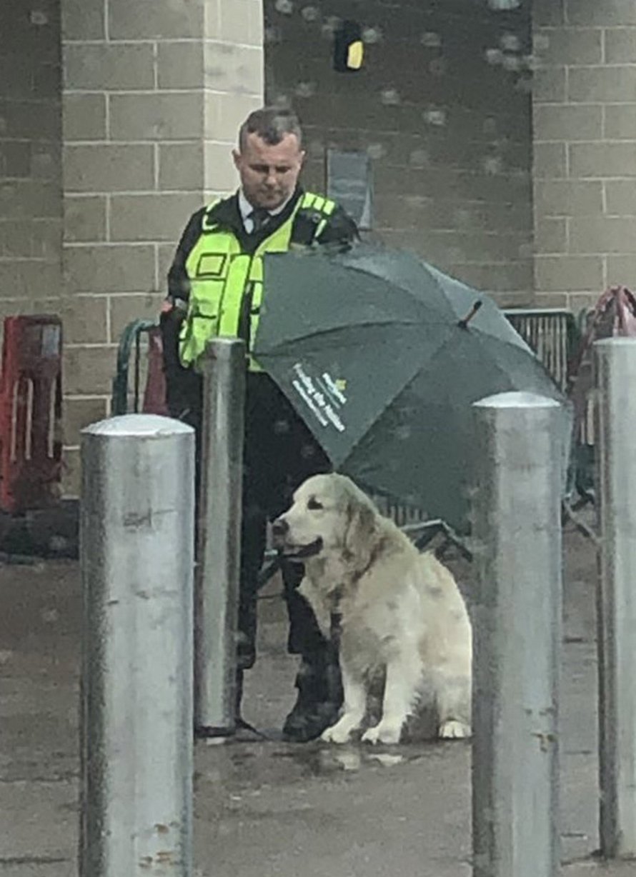 https://www.ipnoze.com/wordpress/wp-content/uploads/2020/06/agent-securite-protege-chien-pluie-parapluie-ethan-dearman-morrisons-003.jpg