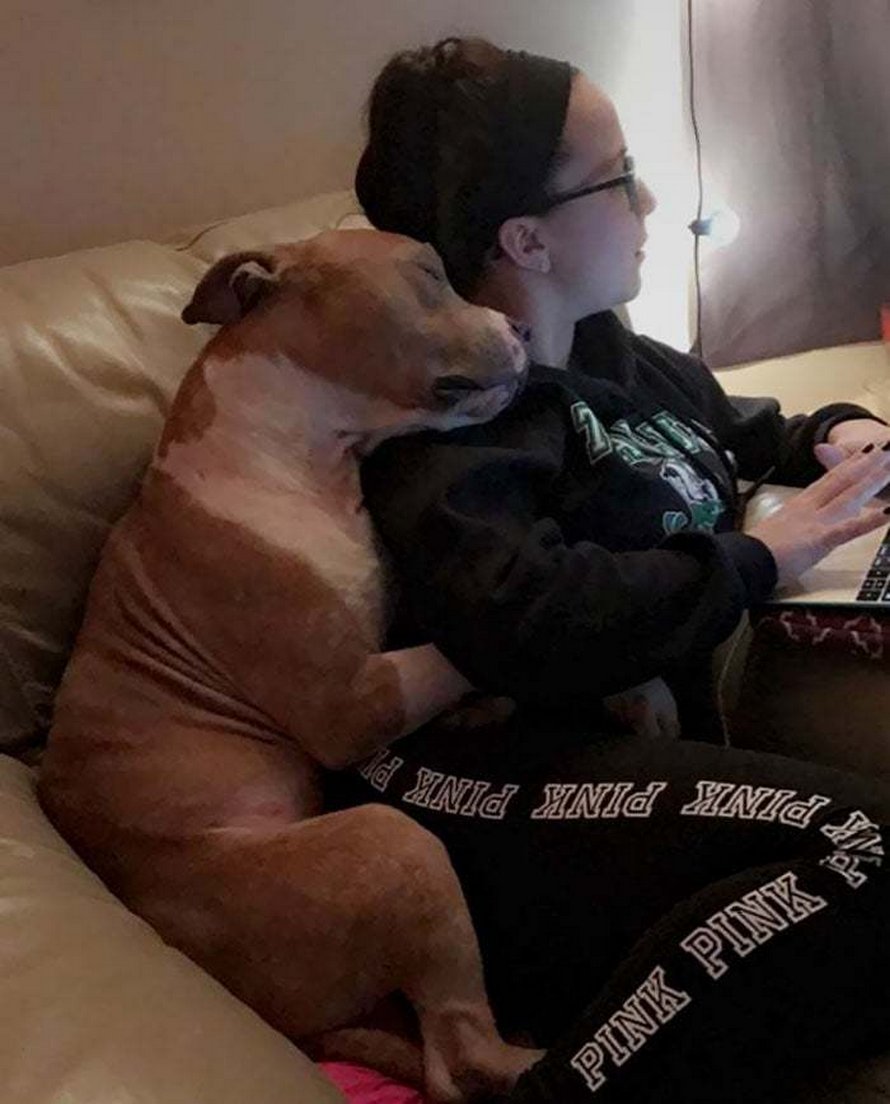 Voici les meilleures photos d’animaux de compagnie secourus du mois (édition de juin)