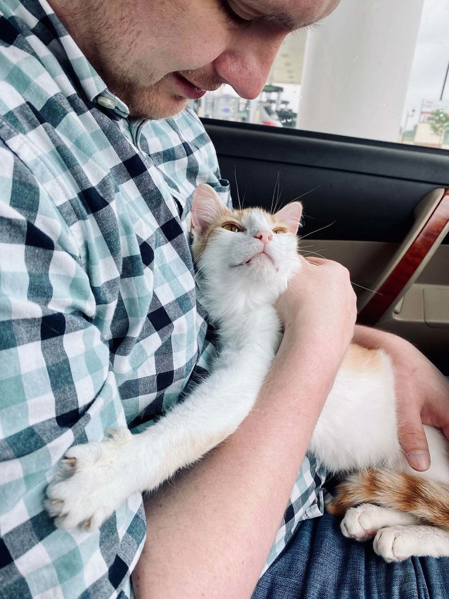 Voici les meilleures photos d’animaux de compagnie secourus du mois (édition de juin)
