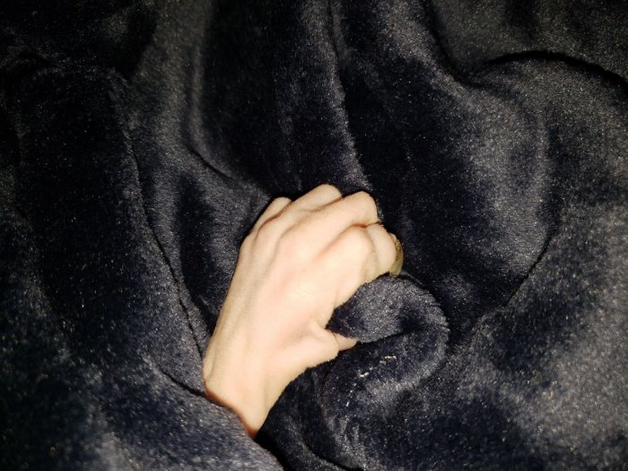 Ces photos de sphynx prouvent qu’ils ne sont pas les chats les plus photogéniques
