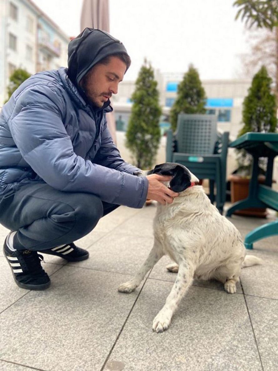 Ce chien vient ici tous les jours et aide les enfants de maternelle à traverser la rue en toute sécurité