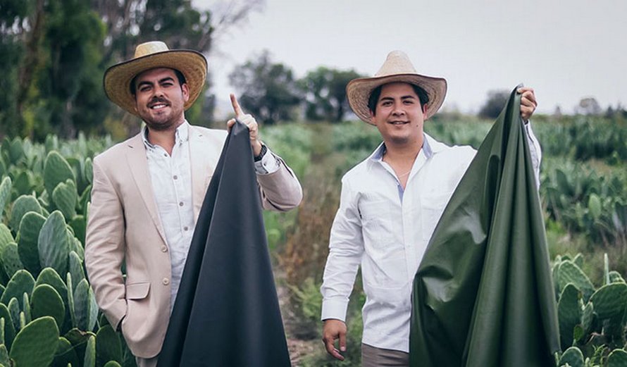 Deux amis ont trouvé un moyen de fabriquer du cuir à partir de feuilles de cactus pour aider à protéger l’environnement