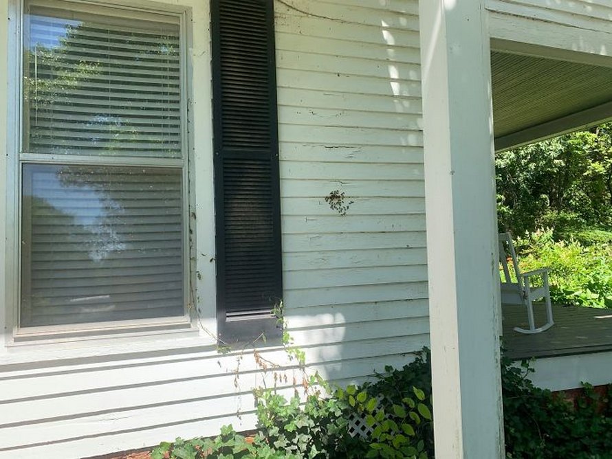 Un déménageur d’abeilles montre ce qu’il a trouvé après avoir enlevé le mur extérieur de la maison d’un client et ses photos deviennent virales