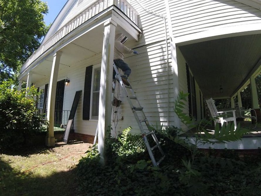 Un déménageur d’abeilles montre ce qu’il a trouvé après avoir enlevé le mur extérieur de la maison d’un client et ses photos deviennent virales