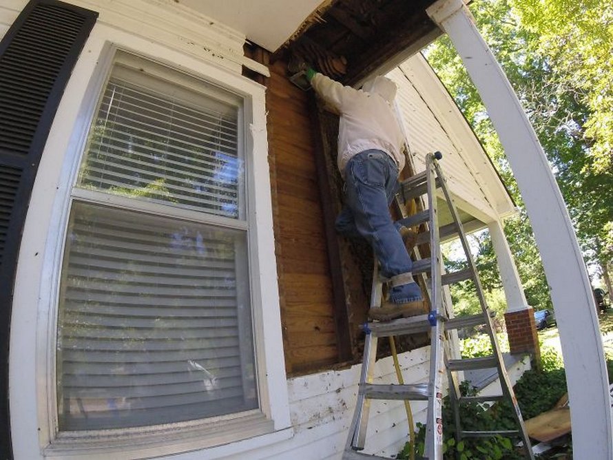 Un déménageur d’abeilles montre ce qu’il a trouvé après avoir enlevé le mur extérieur de la maison d’un client et ses photos deviennent virales