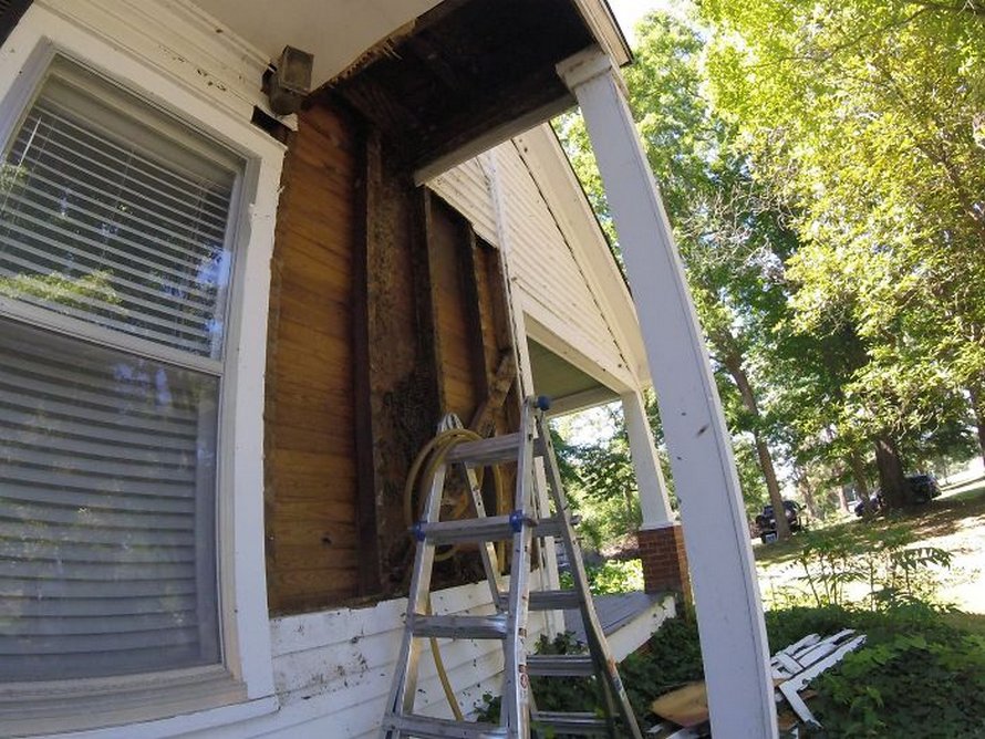 Un déménageur d’abeilles montre ce qu’il a trouvé après avoir enlevé le mur extérieur de la maison d’un client et ses photos deviennent virales