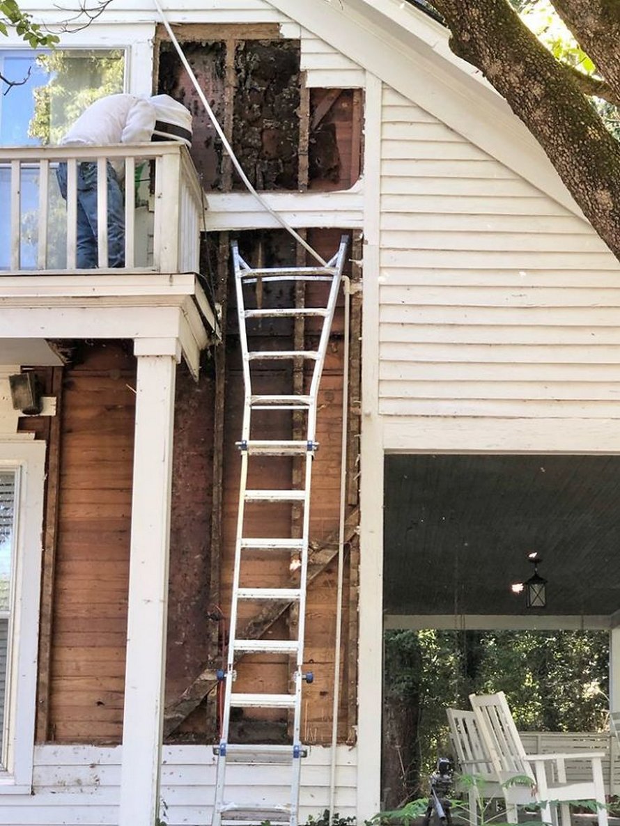 Un déménageur d’abeilles montre ce qu’il a trouvé après avoir enlevé le mur extérieur de la maison d’un client et ses photos deviennent virales