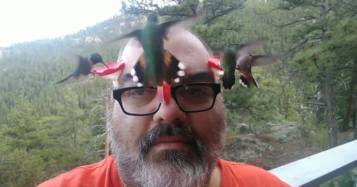 Pour étudier de près les colibris, cet homme a fixé des mangeoires à ses lunettes