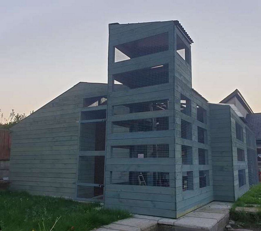 Un homme passe une année entière à construire un espace de jeux incroyable pour sa chatte