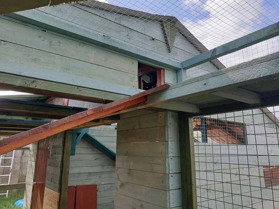 Un homme passe une année entière à construire un espace de jeux incroyable pour sa chatte
