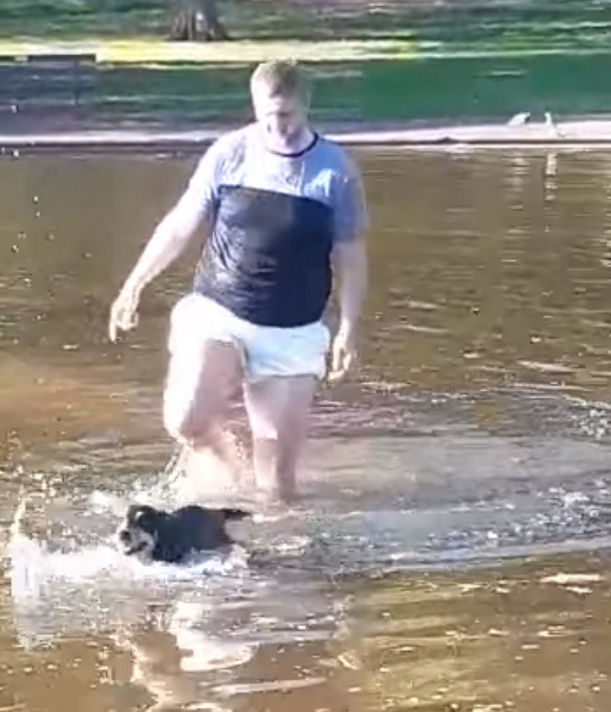 Un homme se met en sous-vêtements pour aller chercher une chienne qui refuse de quitter la fontaine