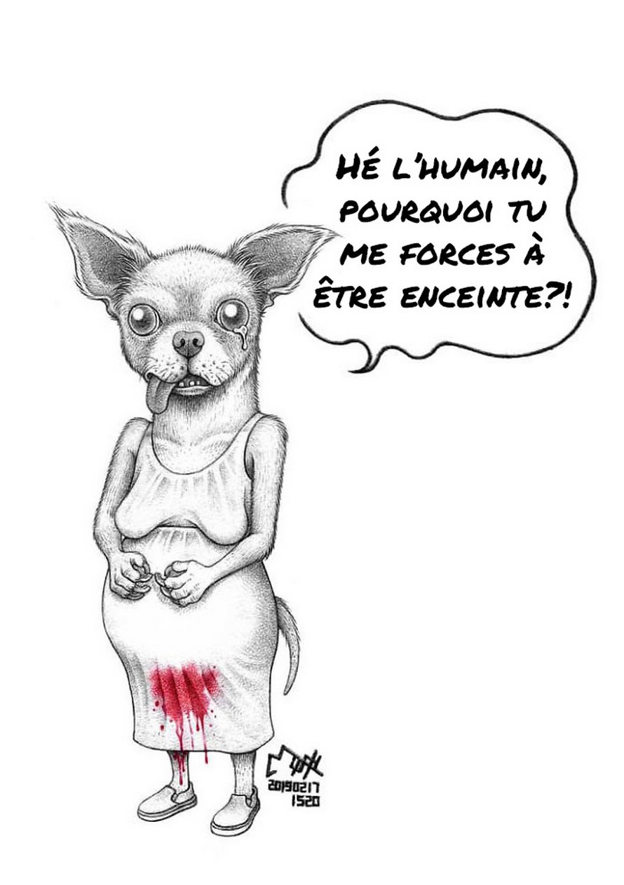 Cet artiste tente de sensibiliser les gens à la maltraitance des animaux avec ces 15 illustrations dérangeantes