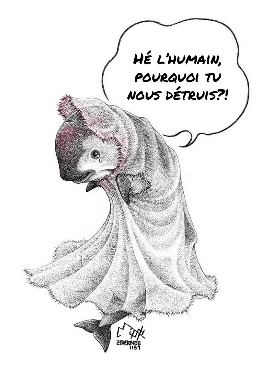 Cet artiste tente de sensibiliser les gens à la maltraitance des animaux avec ces 15 illustrations dérangeantes