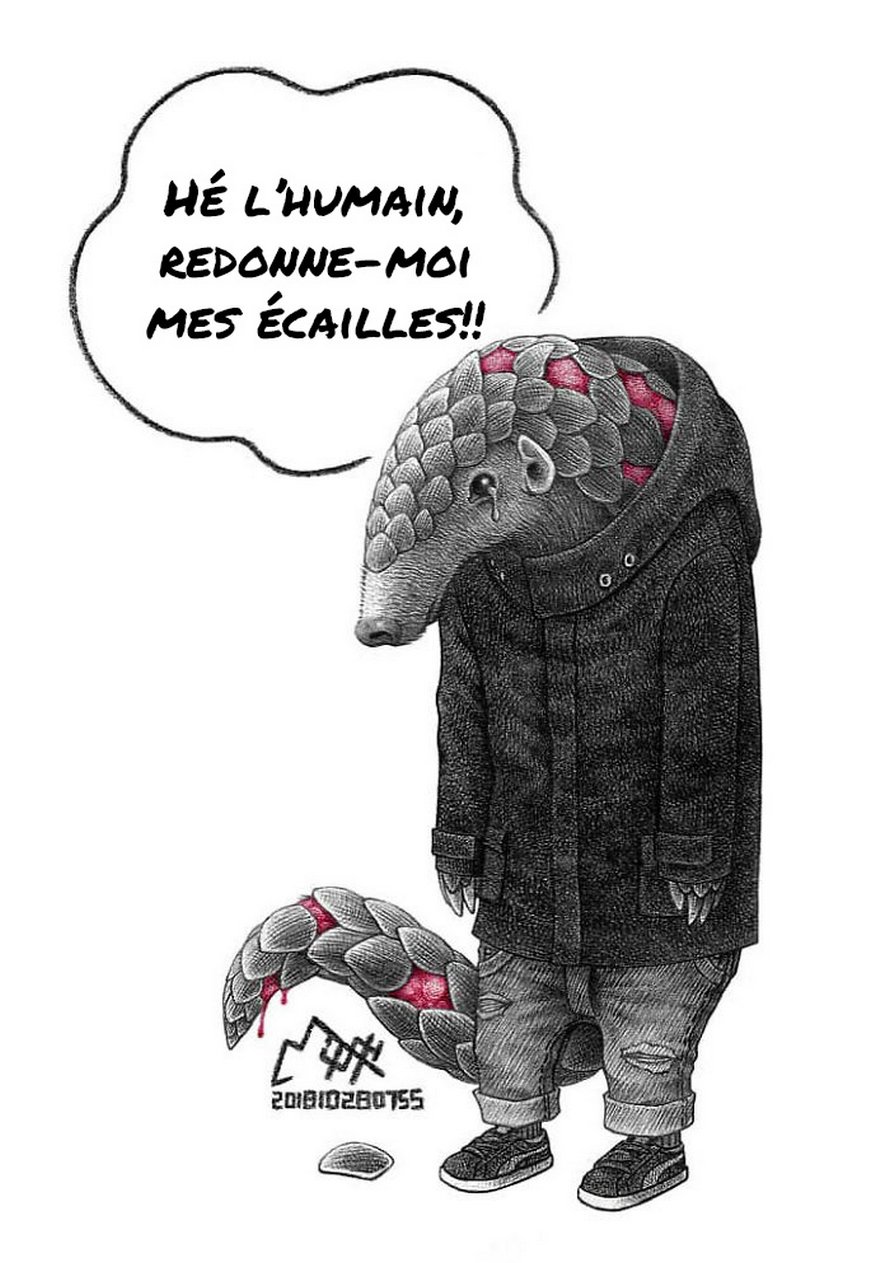 Cet artiste tente de sensibiliser les gens à la maltraitance des animaux avec ces 15 illustrations dérangeantes