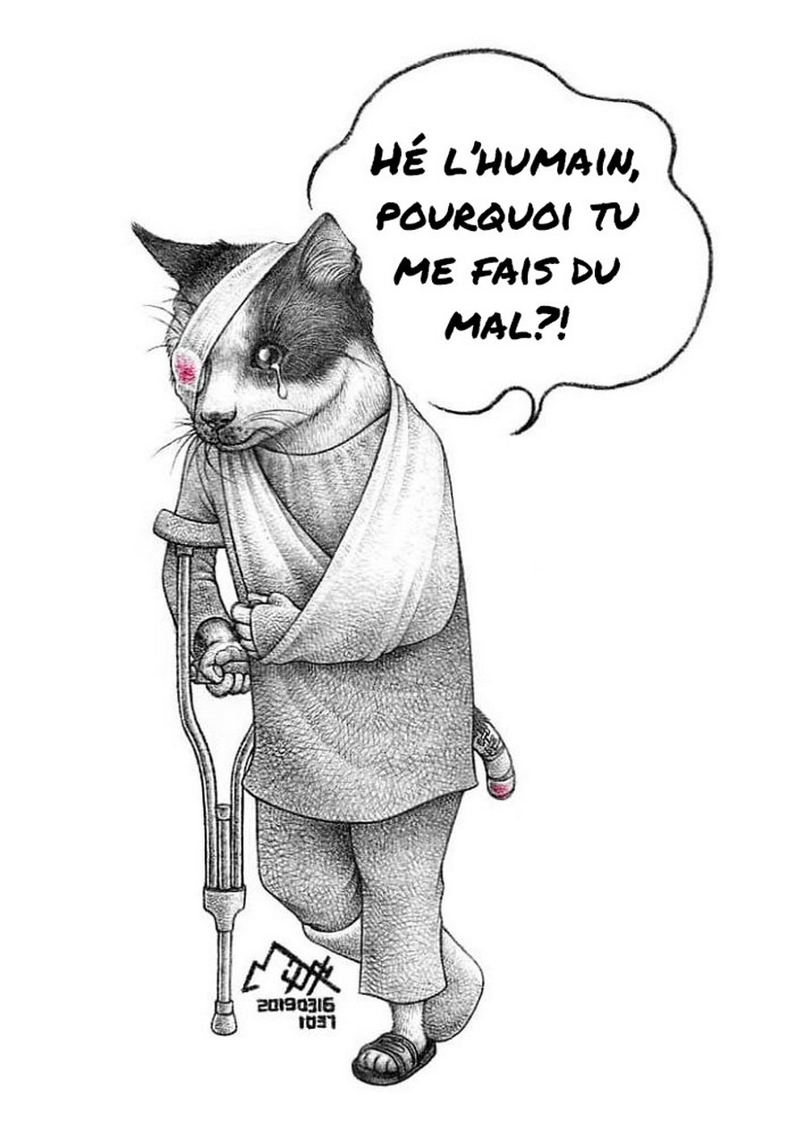 Cet artiste tente de sensibiliser les gens à la maltraitance des animaux avec ces 15 illustrations dérangeantes