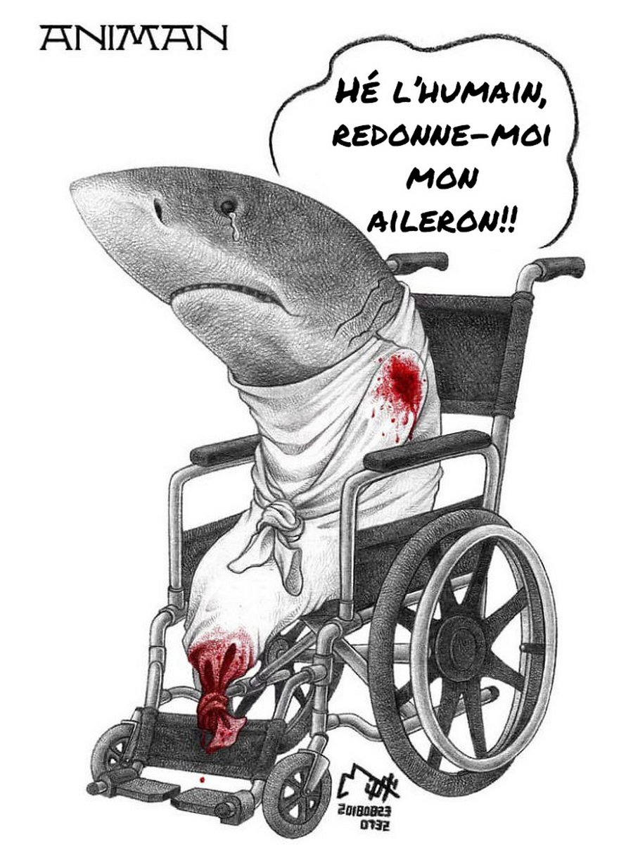 Cet artiste tente de sensibiliser les gens à la maltraitance des animaux avec ces 15 illustrations dérangeantes