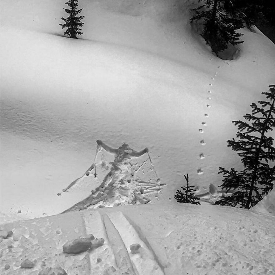 Voici des photos de personnes qui passent une pire journée que vous