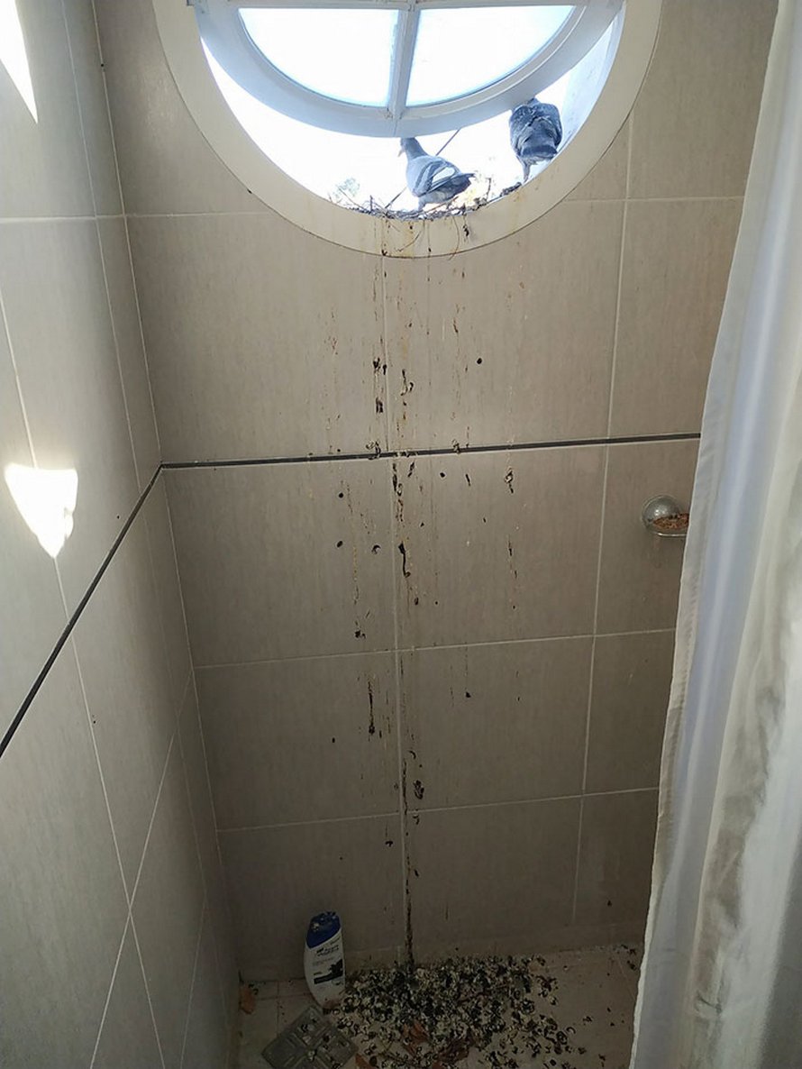 Voici des photos de personnes qui passent une pire journée que vous
