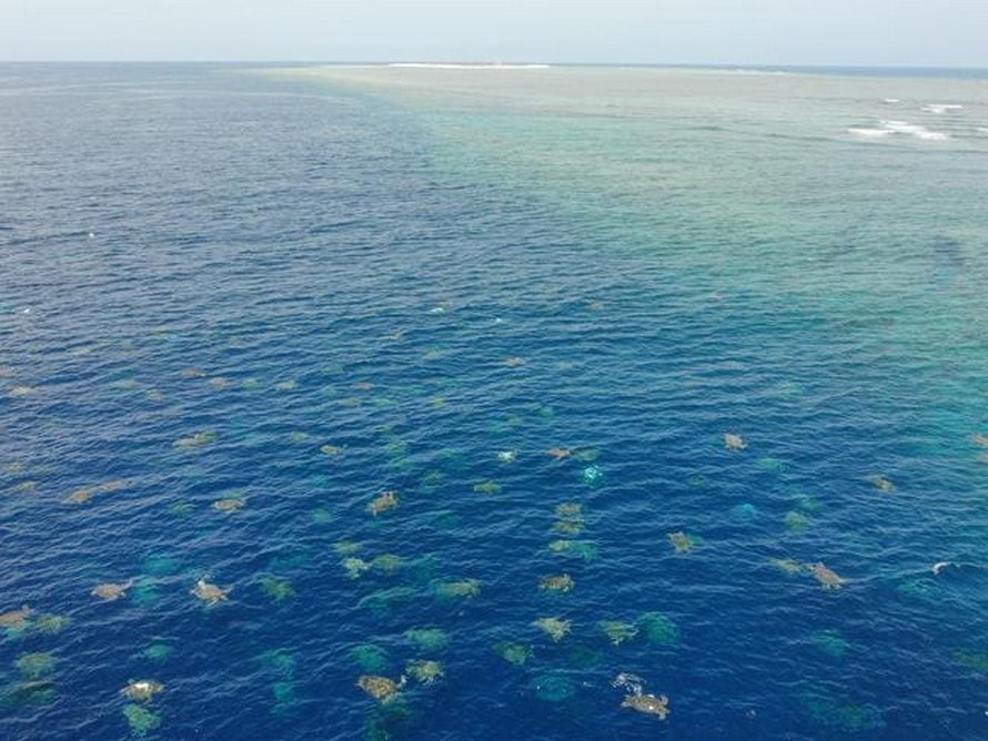 Plus de 60 000 tortues vertes s’apprêtent à nicher en Australie et ces images captées par un drone sont à couper le souffle
