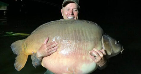 Un pêcheur attrape une énorme carpe de 51 kilos pendant ses vacances
