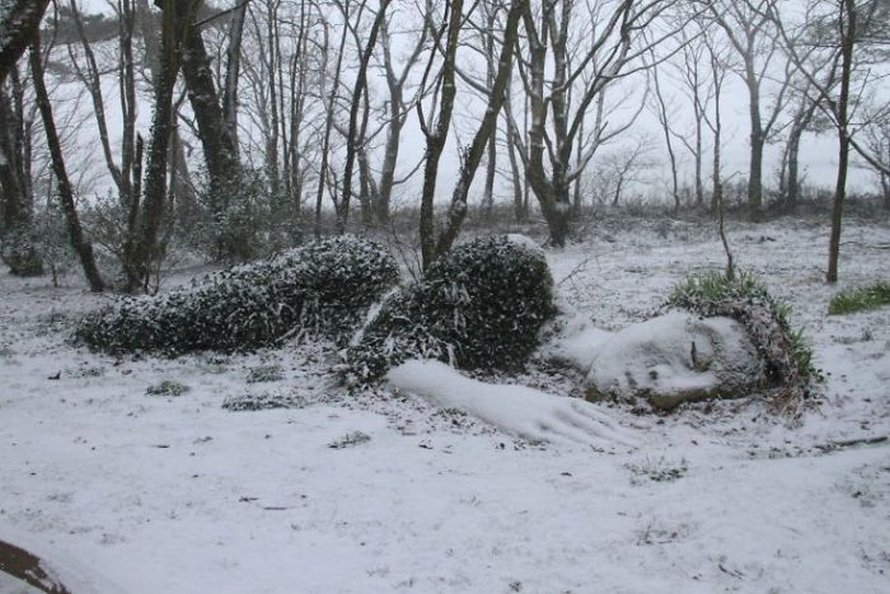 Une sculpture vivante époustouflante dans les jardins perdus de Heligan change d’apparence au fil des saisons