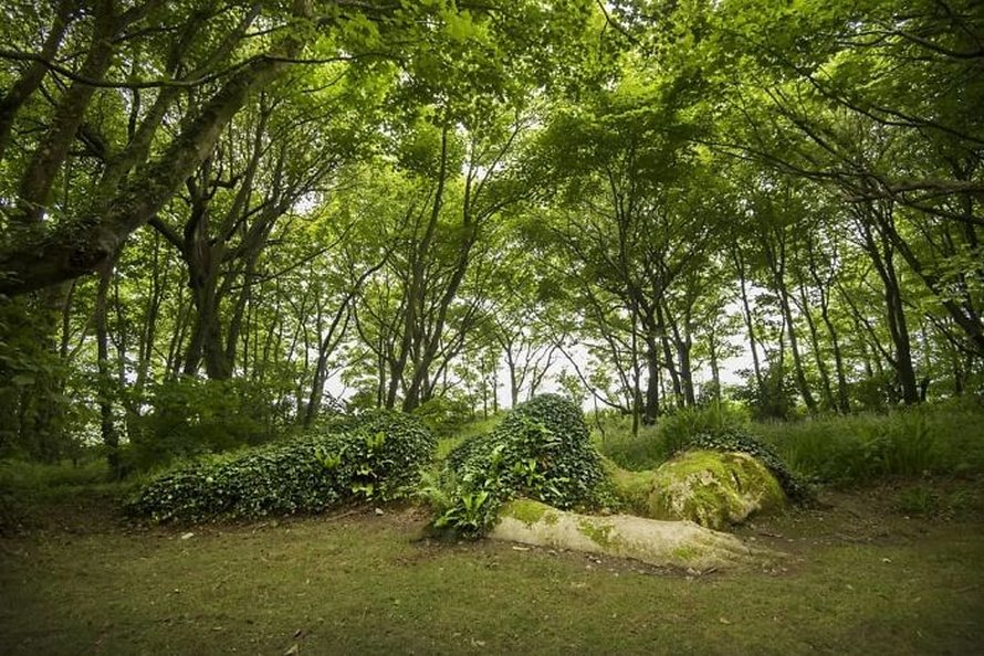Une sculpture vivante époustouflante dans les jardins perdus de Heligan change d’apparence au fil des saisons