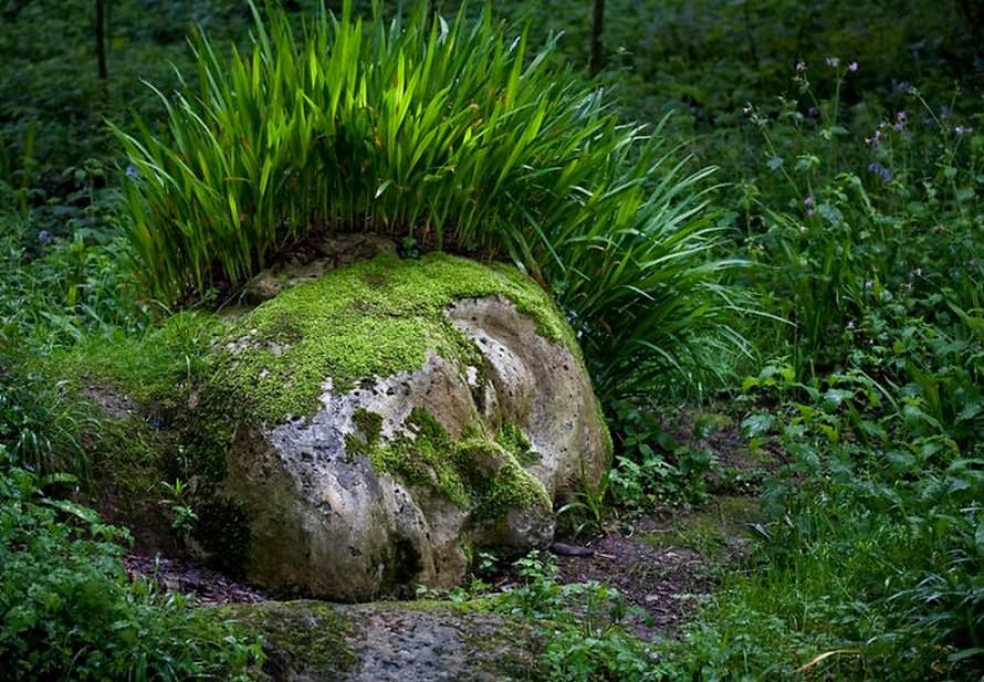 Une sculpture vivante époustouflante dans les jardins perdus de Heligan change d’apparence au fil des saisons
