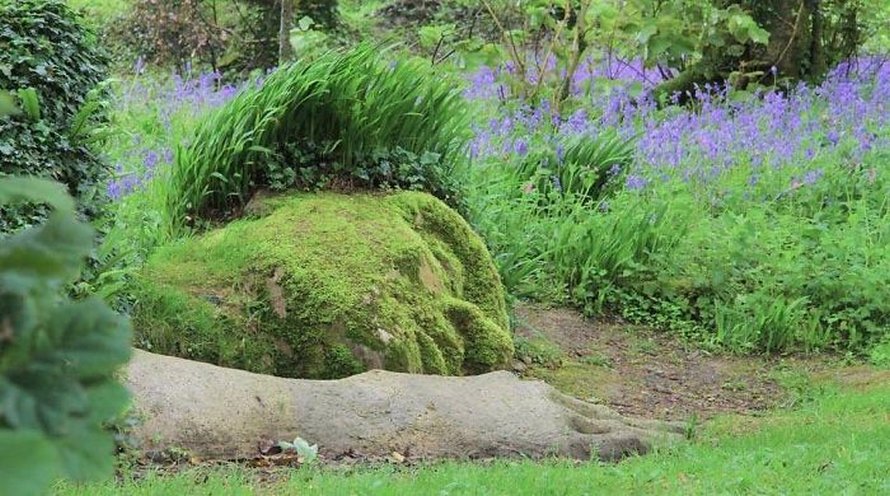Une sculpture vivante époustouflante dans les jardins perdus de Heligan change d’apparence au fil des saisons