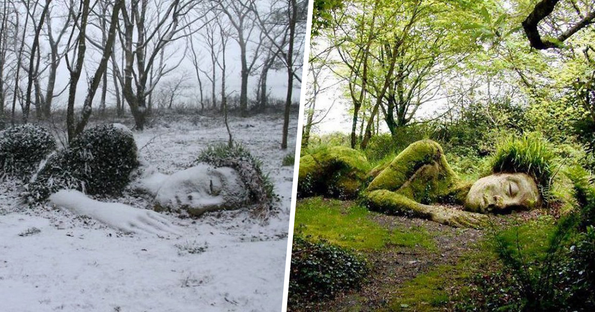Une sculpture vivante époustouflante dans les jardins perdus de Heligan change d’apparence au fil des saisons