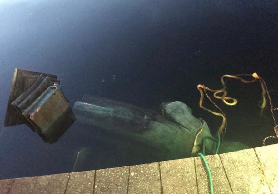 Une statue de Christophe Colomb a été déboulonnée et jetée dans un lac après une manifestation